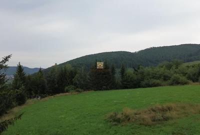 Teren de 5023 mp, în Voroneț - 2