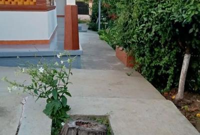 Casă cu 4 camere în Cudalbi - 6