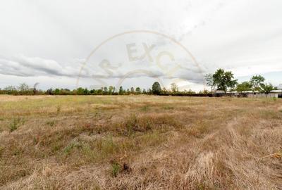 Teren intravilan 3000 mp, Oarja, Arges - amplasament excelent - 3