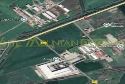 Pecica, jud Arad, 6ha teren de vanzare Pecica, jud Arad, 6ha teren de vanzare - 2