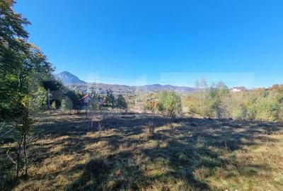 Teren de 2346 mp, în Poiana Mărului - 3