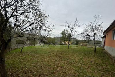 Casa individuala, 3300 mp teren, zona Sintereag - 9