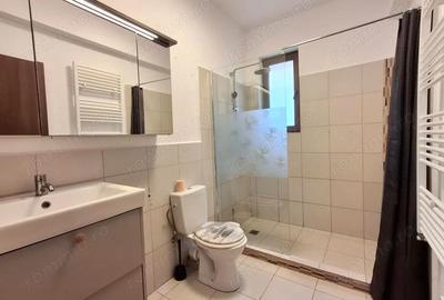 Casă cu 1 camere cu Teren 443 Mp în Dimieni - 13