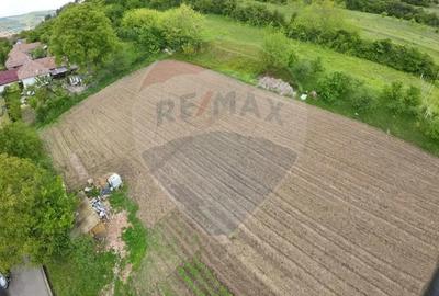 Teren de 5546 mp, în Central - 4