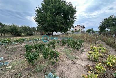 Royal Imobiliare - Vanzare vila zona Lipanesti - 33