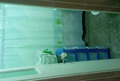 Apartament doua camere - 1