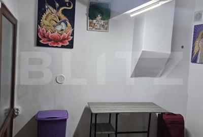 Garsonieră semidecomandată, mobilată în Centrul Istoric - 11