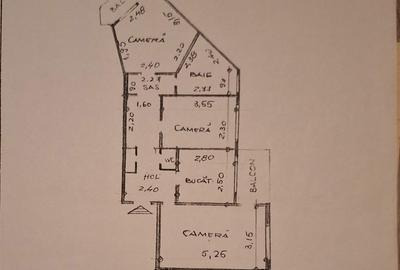 Apartament cu 3 camere decomandat în Dancu - 2