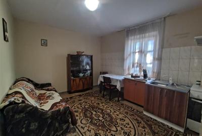 Duplex cu 2 camere cu Teren 700 Mp în Ilișești - 3