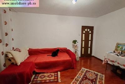 Apartament cu 2 camere, mobilat în Vest - 4