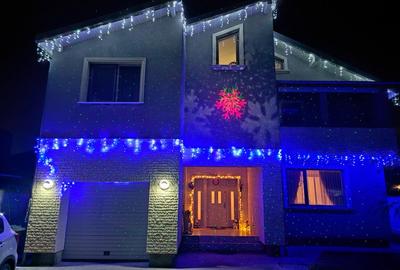 Domnesti - Ilfov - 1