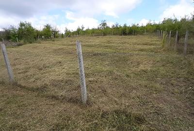 Teren de 800 mp, în Livezeni