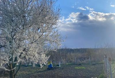 Teren în Narcisa - 2