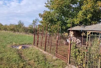 Casă cu 6 camere cu Teren 2900 Mp în Gurbediu - 3