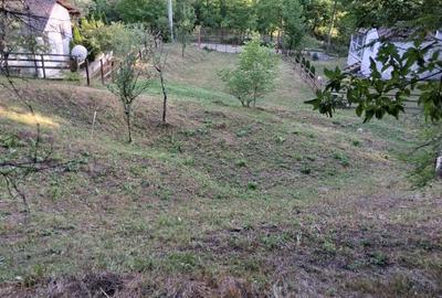 Spațiu comercial, în Slănic - 4