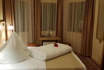 Pensiune de vanzare, 600 mp, pe malul lacului Firiza - 3