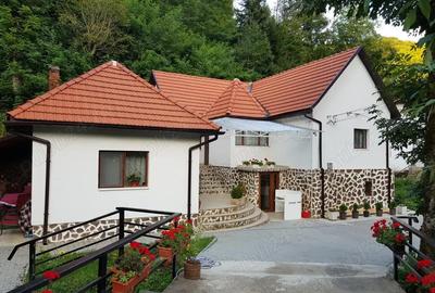 Casă cu 4 camere cu Teren 5000 Mp în Central - 9