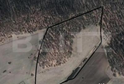 Teren de 50000 mp, în Central