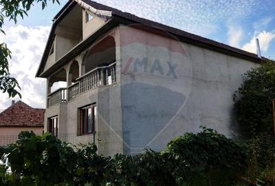 Casa de vanzare cu  teren de 3.869 mp in Cosniciu de Jos /Ip, Salaj - 4