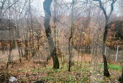 Casa moderna, gata de mutare, la 12 km de Pitesti – Babana, Slatioarele - 15