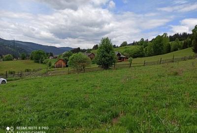 TEREN INTRAVILAN 4000 MP DE VANZARE - VATRA DORNEI - 7