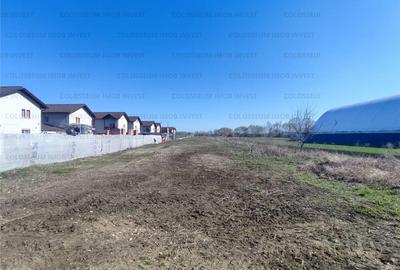 Teren de 5000 mp, în Bartolomeu - 4