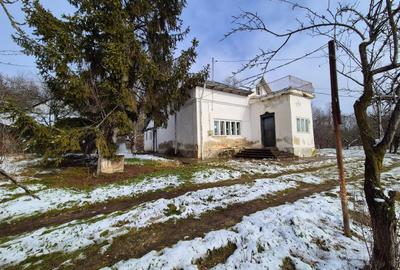 Casă cu 5 camere cu Teren 5950 Mp în Nord - 11