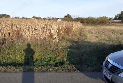 Teren în Brăești - 2