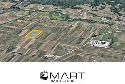 Teren agricol extravilan de 5000 mp, în Șelimbăr - 3