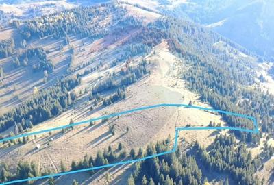 Teren extravilan de 47732 mp, în Panaci - 5