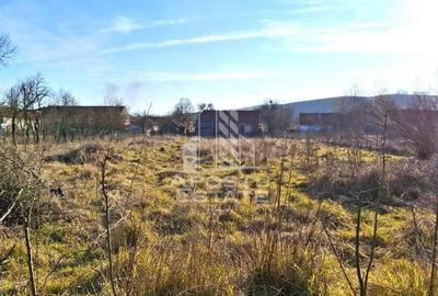 Casa de caramida in Tela si Teren Generos de 4320 mp - 9