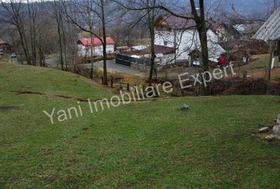 Teren de vanzare in comuna Arefu, jude? Arge?. - 14