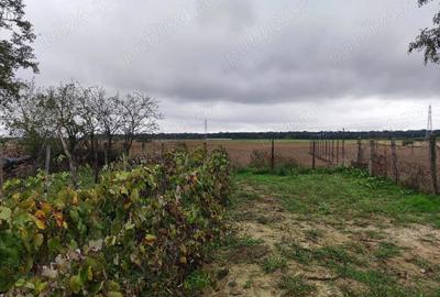 Teren de 3384 mp, în Periș - 7