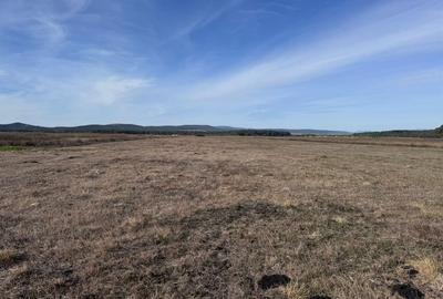 Teren agricol extravilan de 44000 mp, în Hărman