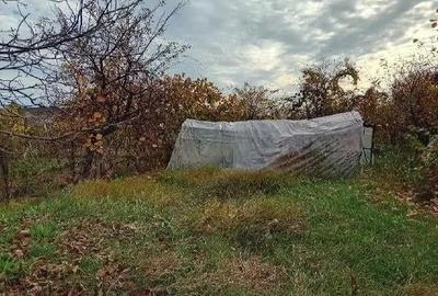 Teren intravilan com. Maracineni, jud. Arges - 2