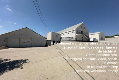 Spațiu industrial, 800 mp în Exterior Vest
