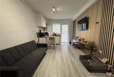 Apartament 2 cam tip studio Sanpetru Brasov - 3