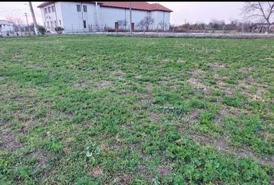 Teren de 1260 mp, în Ceamurlia de Jos - 5