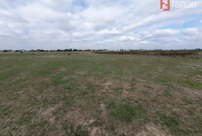 Teren de 1255 mp, în Giroc