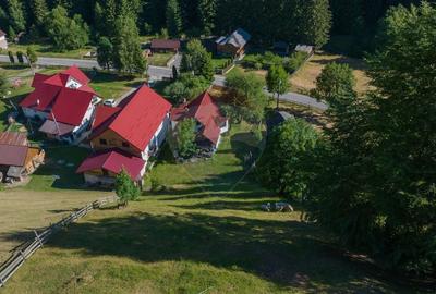 Casa / Vila cu 6 camere, in inima naturii, comision zero pt cumparator - 6