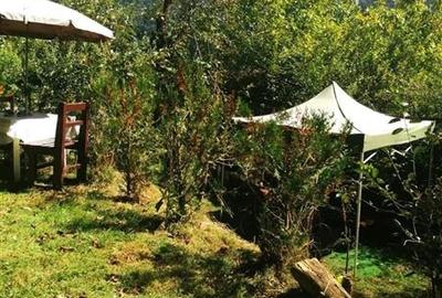 Casă individuală cu 6 camere cu Teren 1152 Mp în Ultracentral - 17