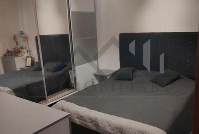 Apartament cu 2 camere semidecomandat în Tudor Vladimirescu - 2