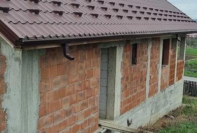 Casă cu Teren 4900 Mp în Golăiești - 3