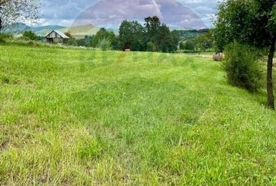 Teren Construcții intravilan de 1884 mp, în Berbești - 2