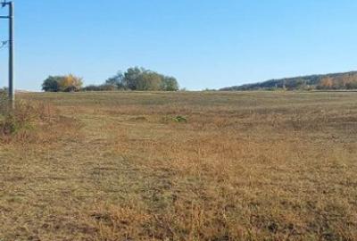 Husi Comuna Padureni - 8,5 hectare teren agricol - 2