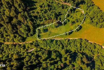 Spațiu comercial, în Brădet - 2
