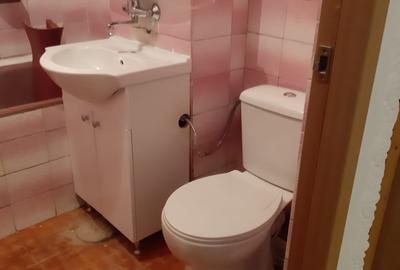 Apartament cu 2 camere decomandat în Craiter - 7