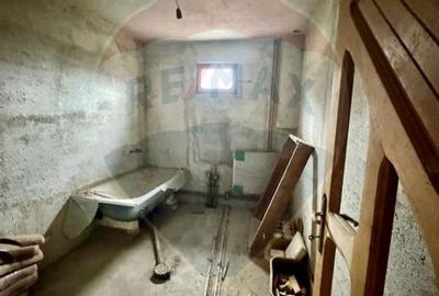 Casa de vis Valea Silistii - spatiu generos, natura si liniste deplina - 10