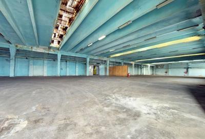 Spațiu industrial, de 6,132 mp, în Aradul Nou - 19