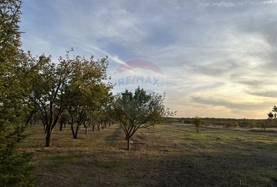 Proprietate specială, de 937 mp, în Dragomirești-Deal - 40